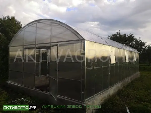 Теплица Ударница Благодатная, ширина 4/5 м, труба 40х20 + 20х20 Теплица Ударница Благодатная, ширина 4/5 м, труба 40х20 + 20х20